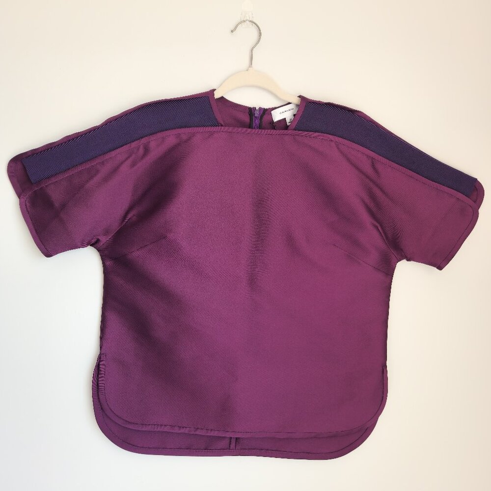 NWT Carven Size 8US Violet Short Sleeve T-shirt en mika Zipper Back Relaxed Fit